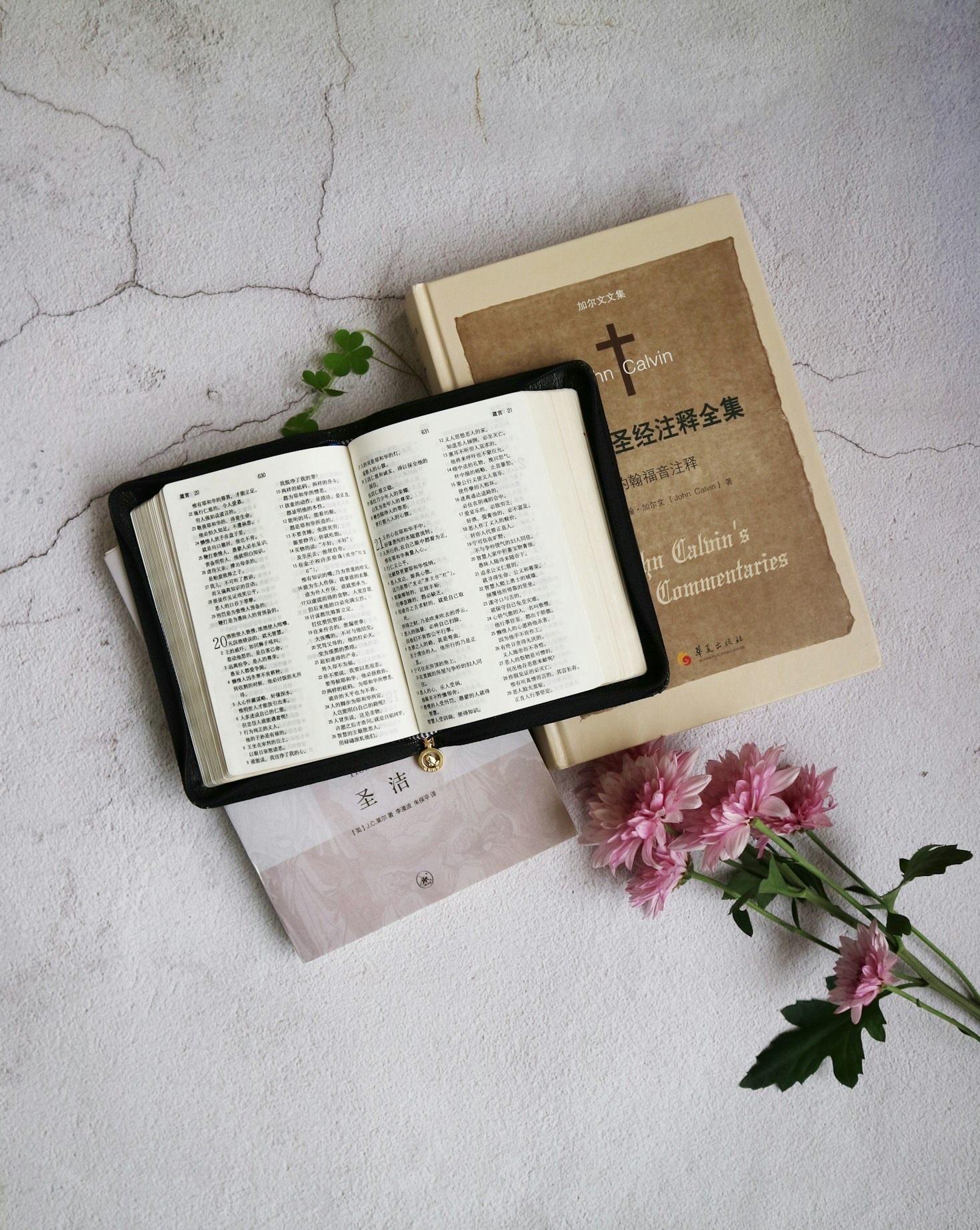 The Power Of Faith Based Educational Tools